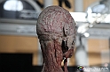VBS_3040 - Mostra Body Worlds